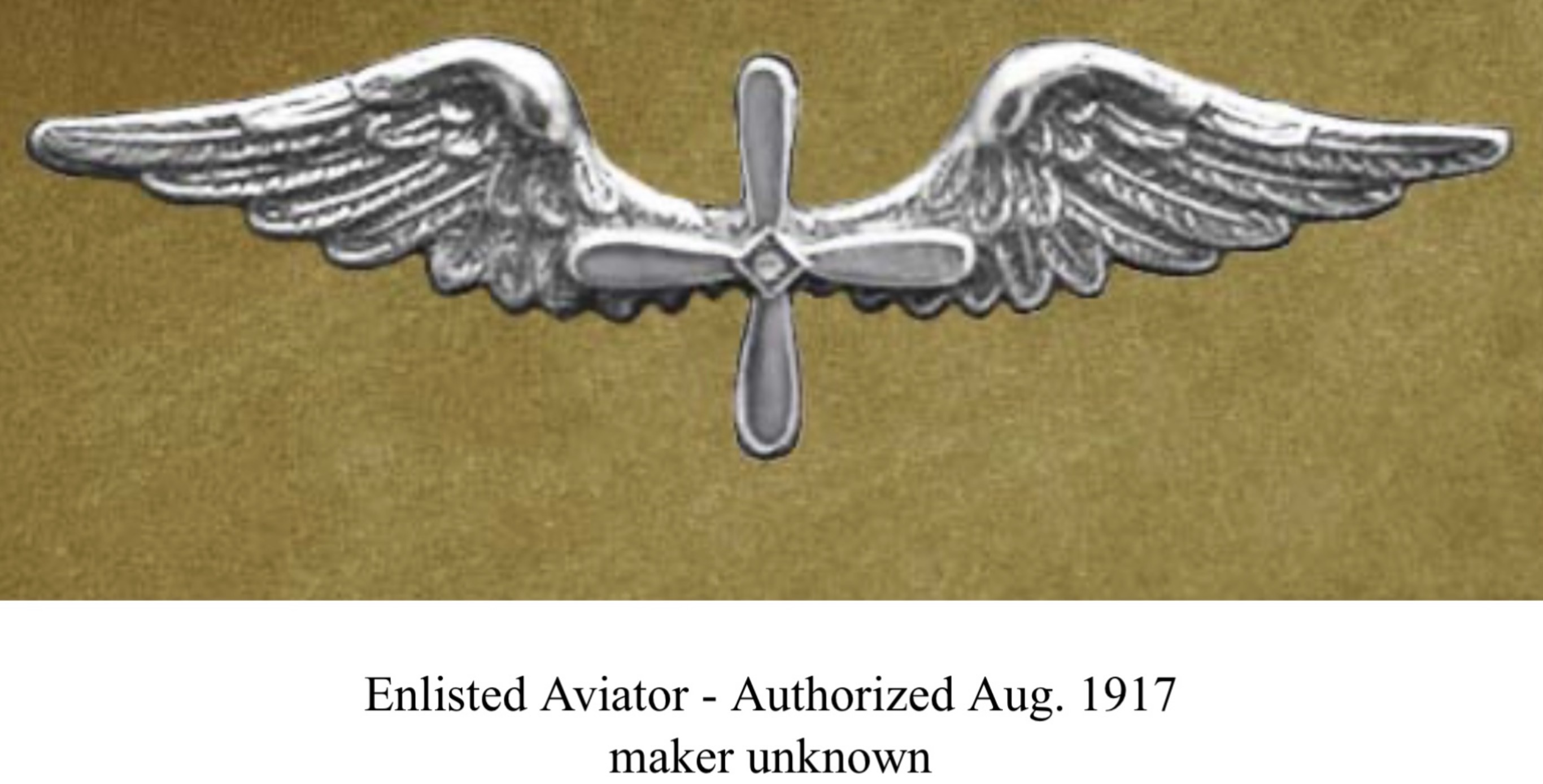 USA Army Air Corps Enlist Aviator