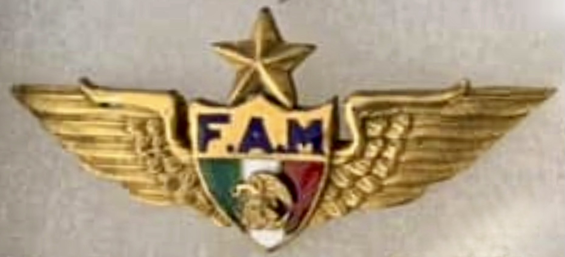 Mexico Air Force (FAM) Senior Pilot