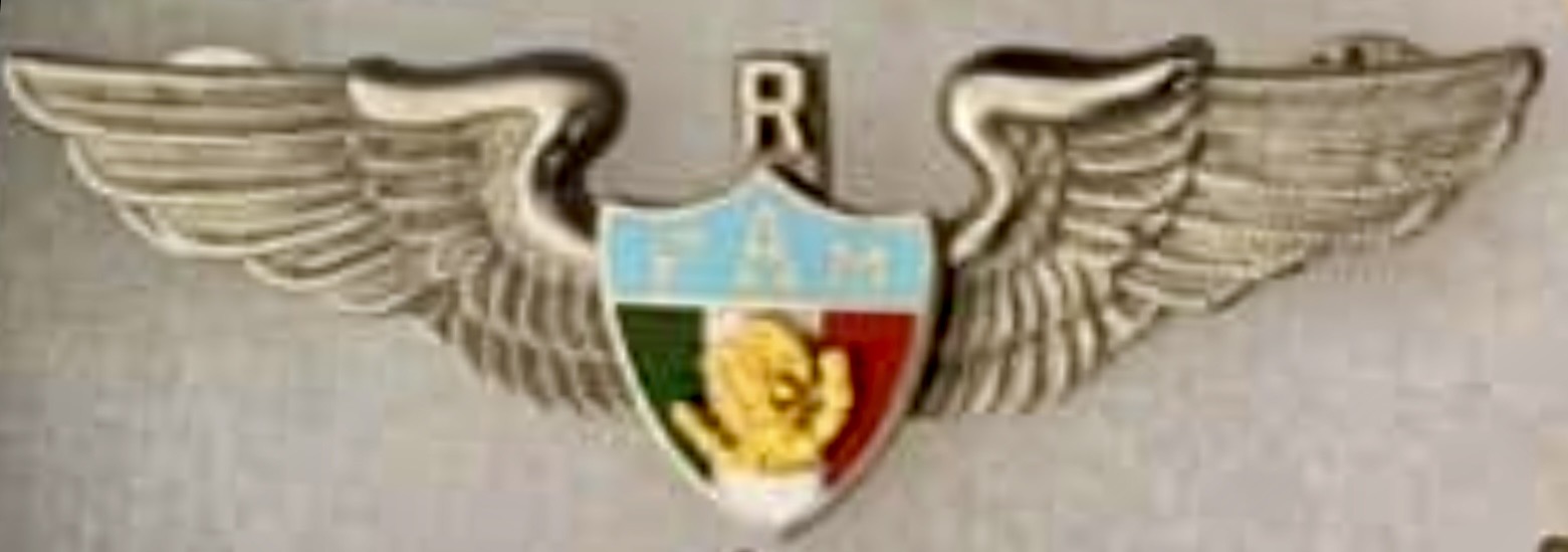 Mexico Air Force (FAM) Pilot Reserve