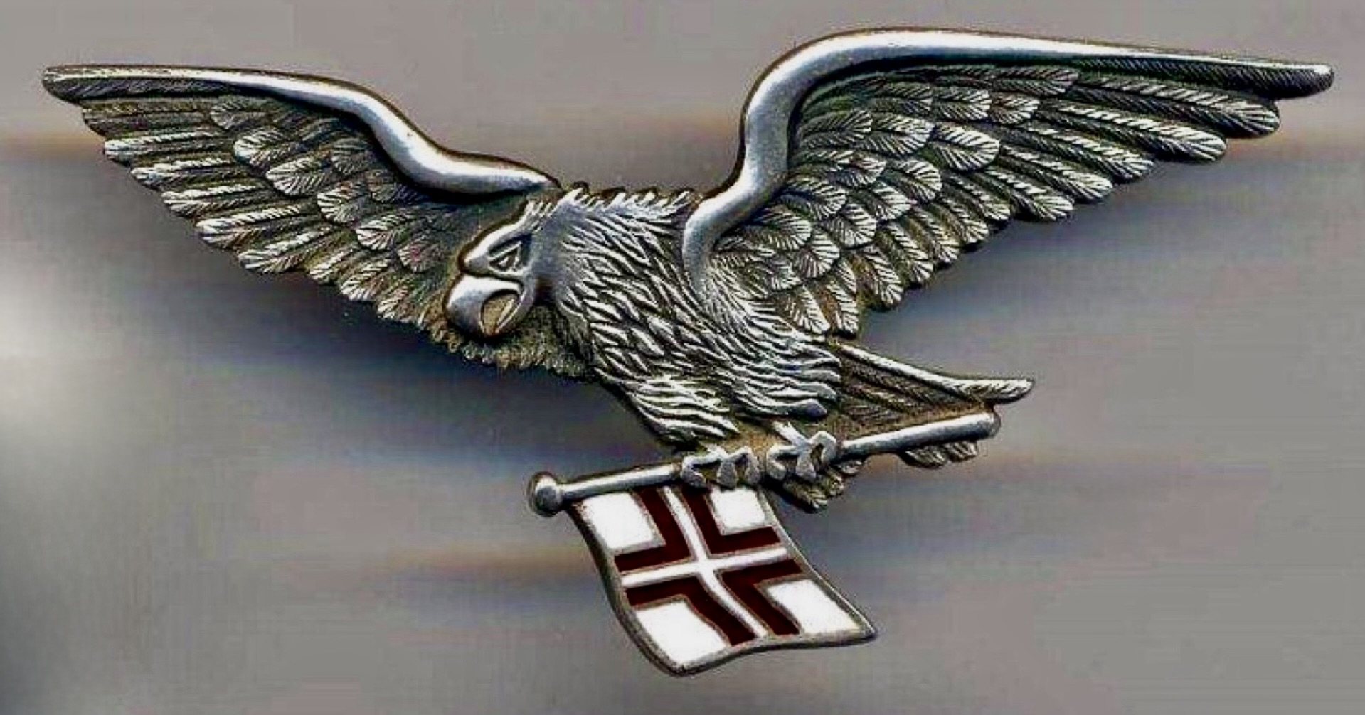 Latvia Navy Pilot