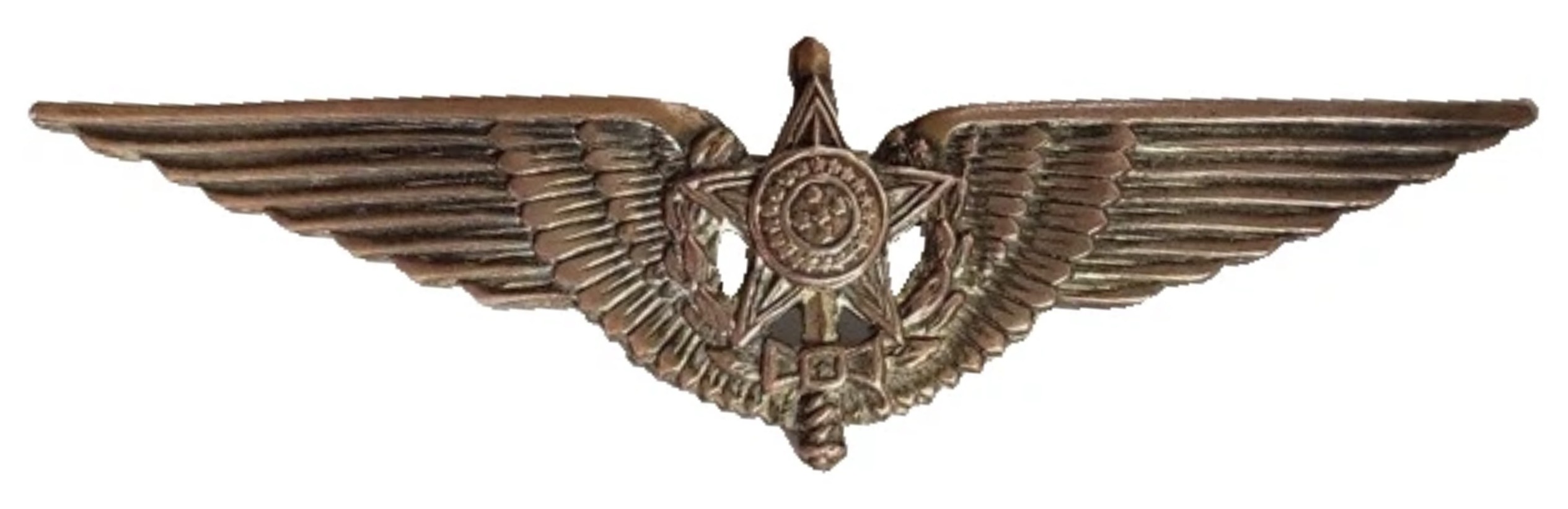 Image of Air Force Pilot wing