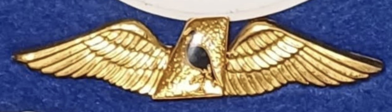 Ciskei International Airways Pilot