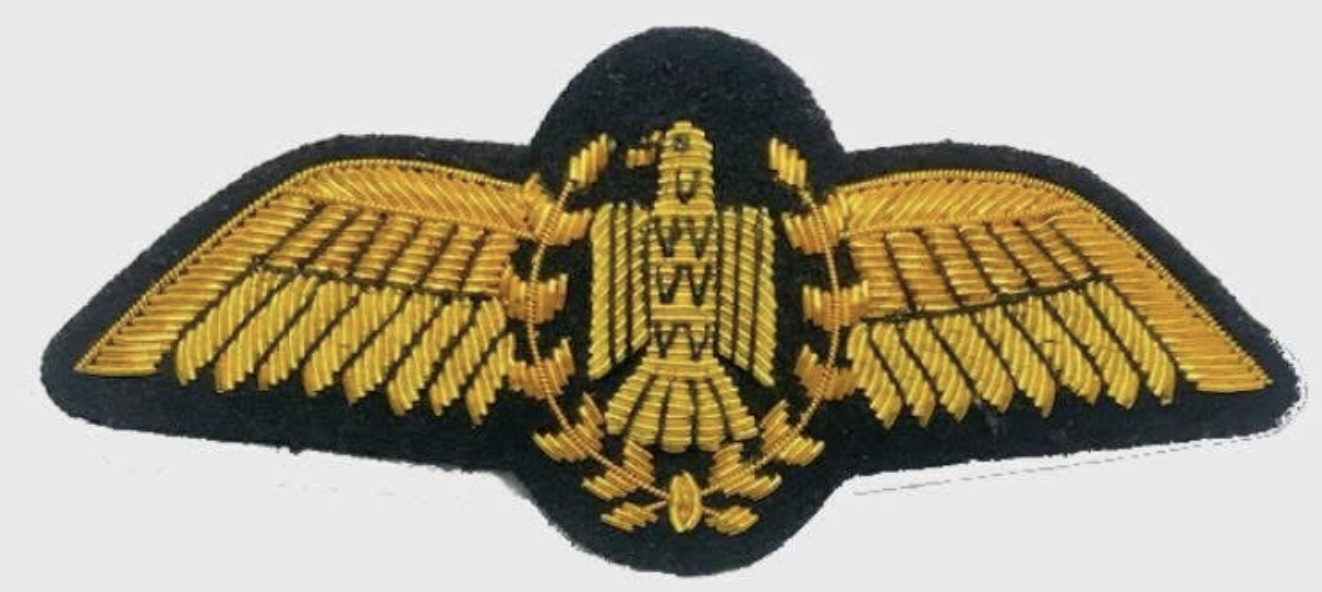 Egypt Air Force Pilot