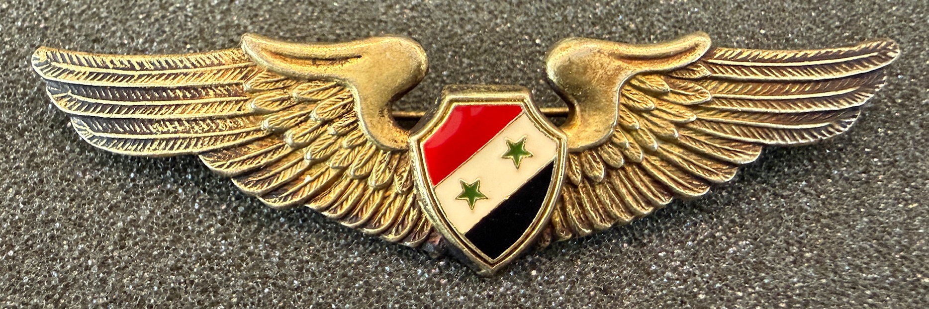 Syria Air Force Pilot