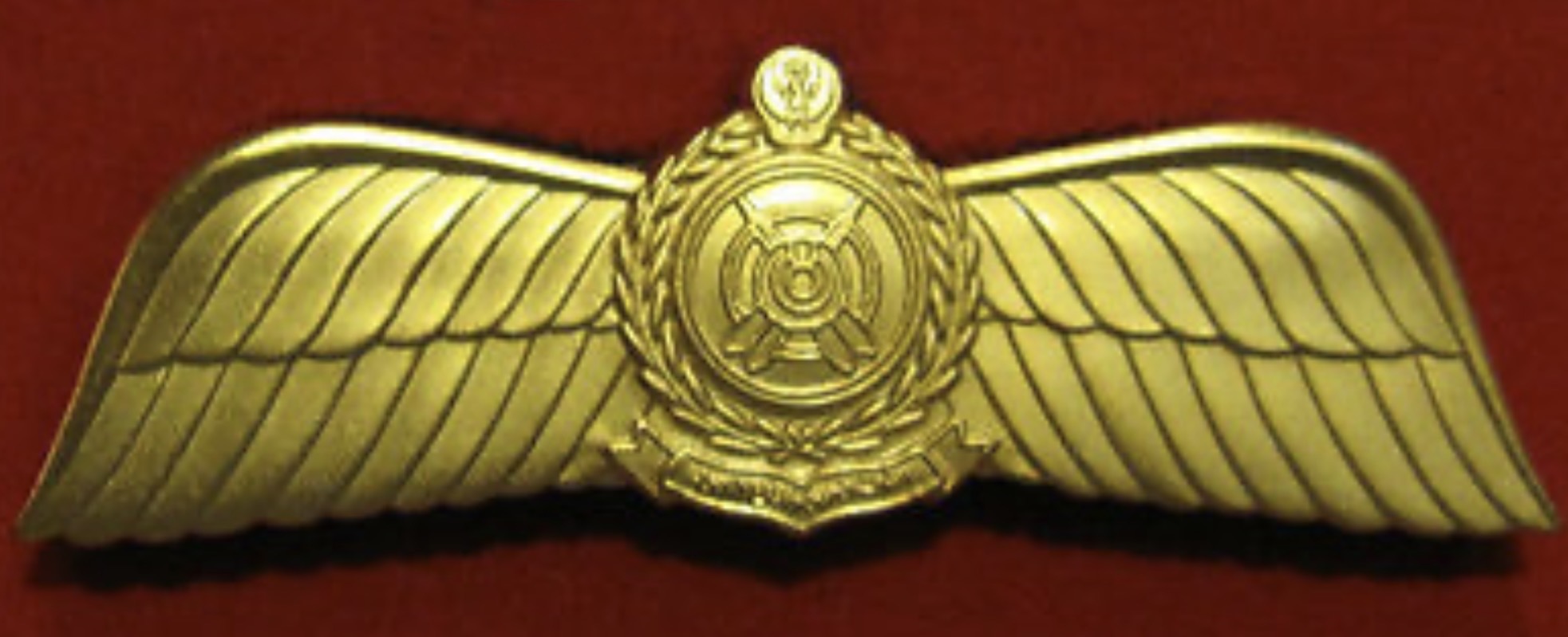 United Arab Emirates Armed Forces Pilot