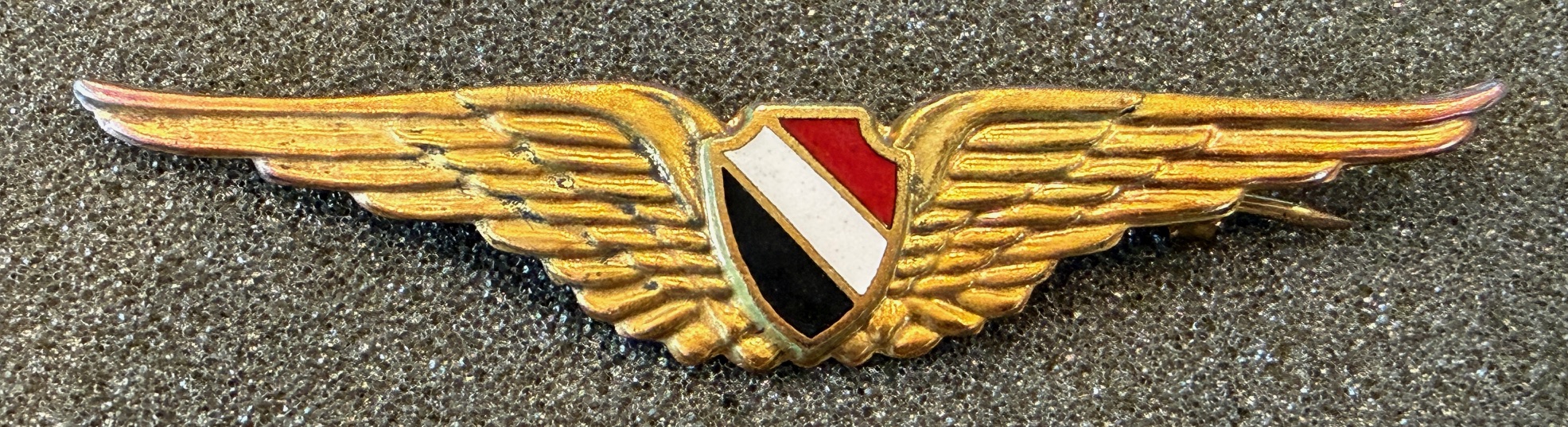Egypt Air Force Pilot