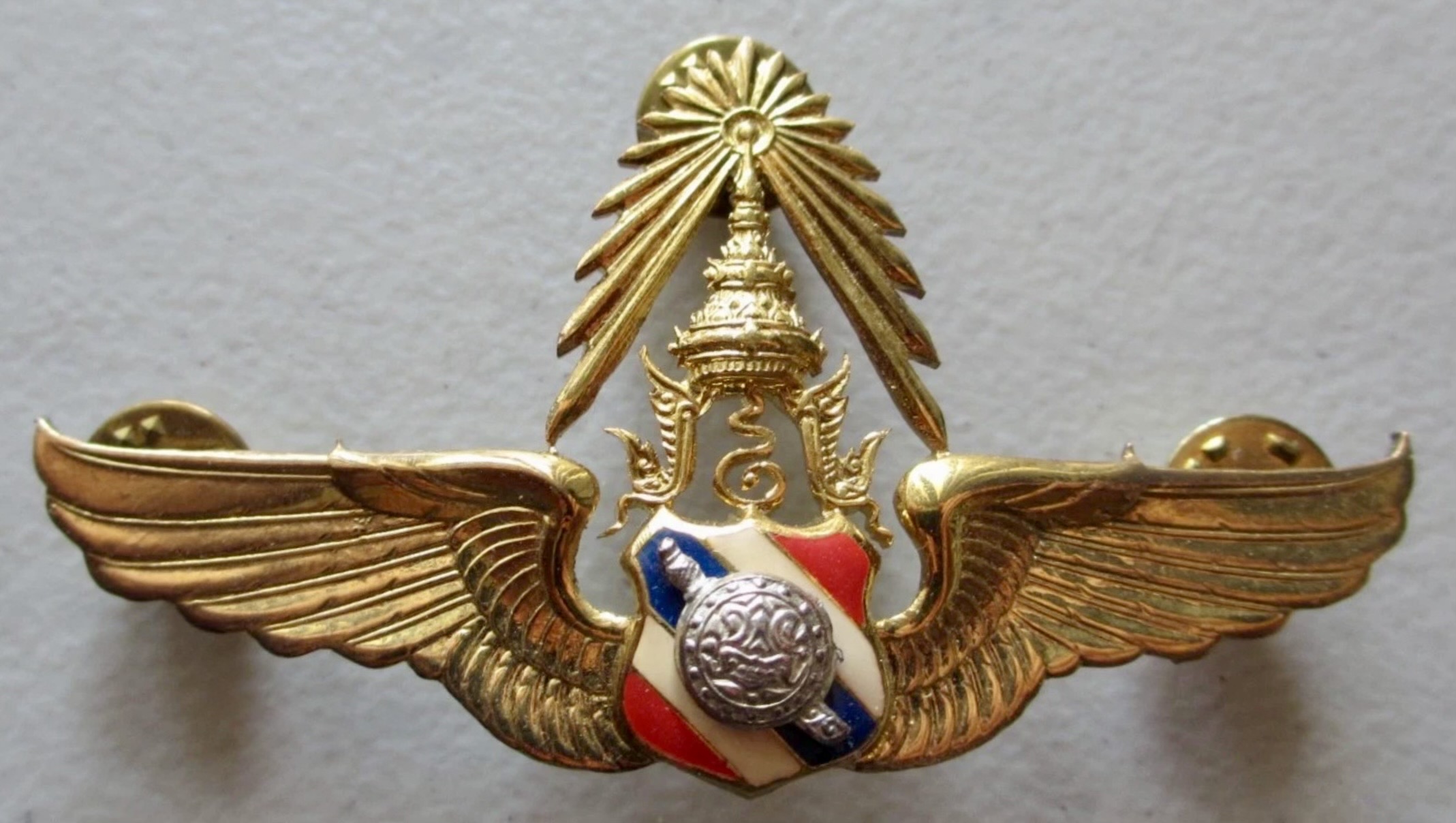 Thailand Police Pilot