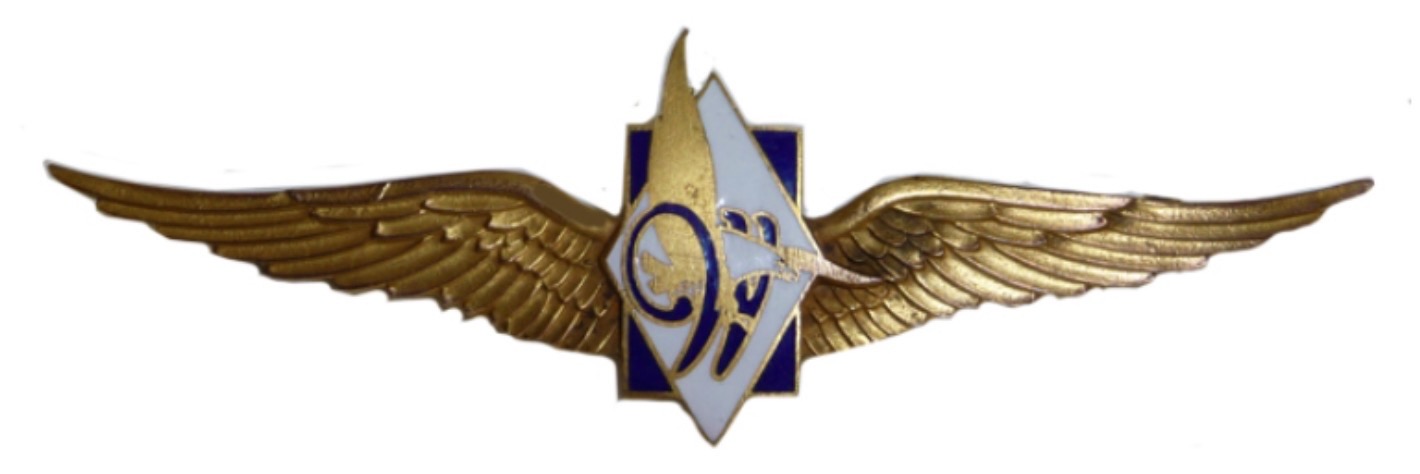 Waterman Airlines Pilot