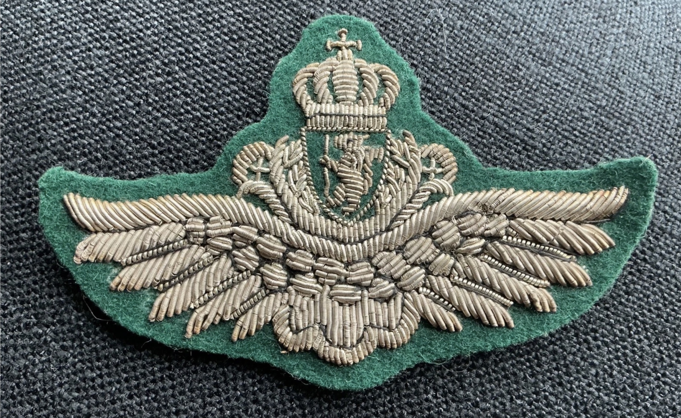 Norway Army Pilot
