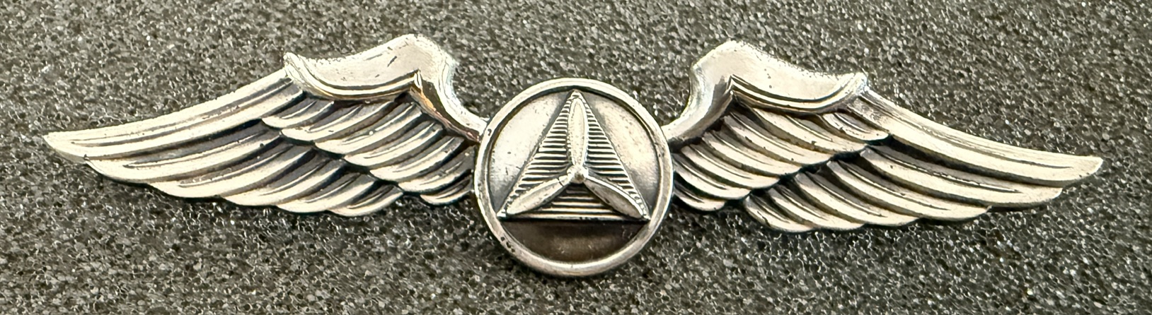 United States Civil Air Patrol (CAP) Pilot