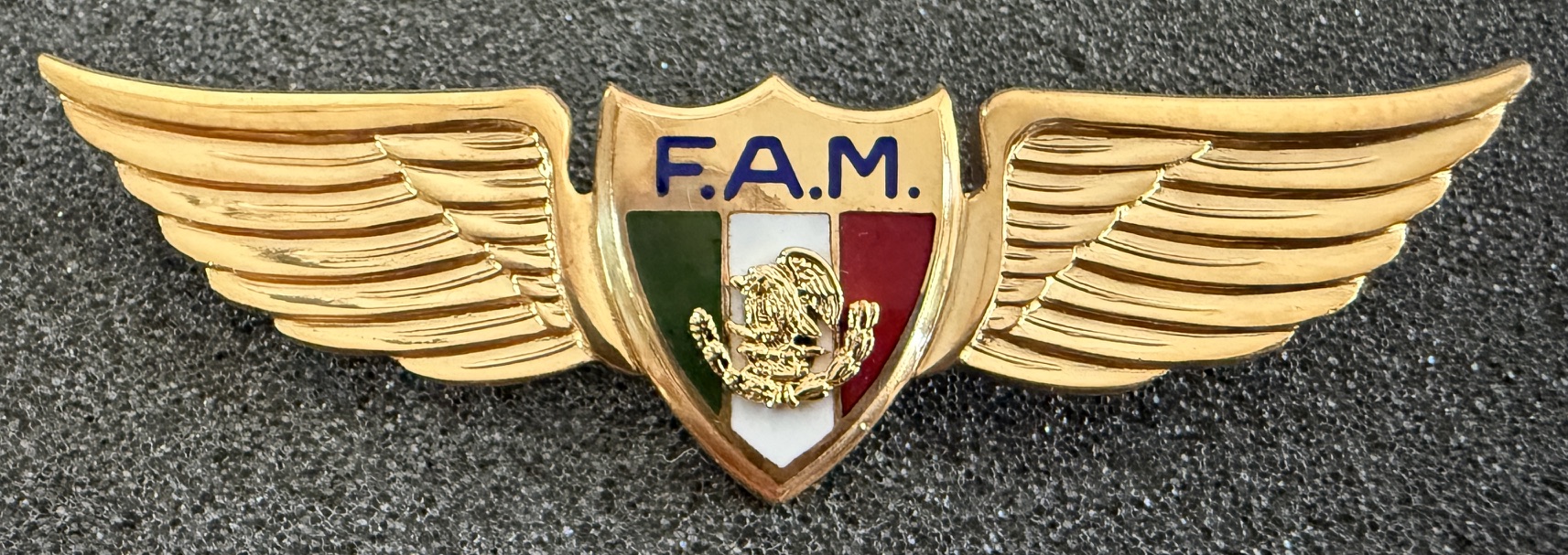 Mexico Air Force (FAM) Pilot