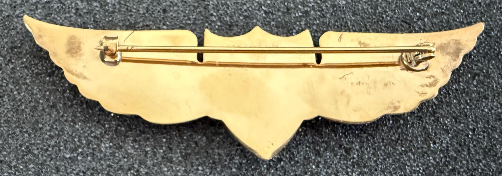 Image of Air Force (FAM) Pilot wing