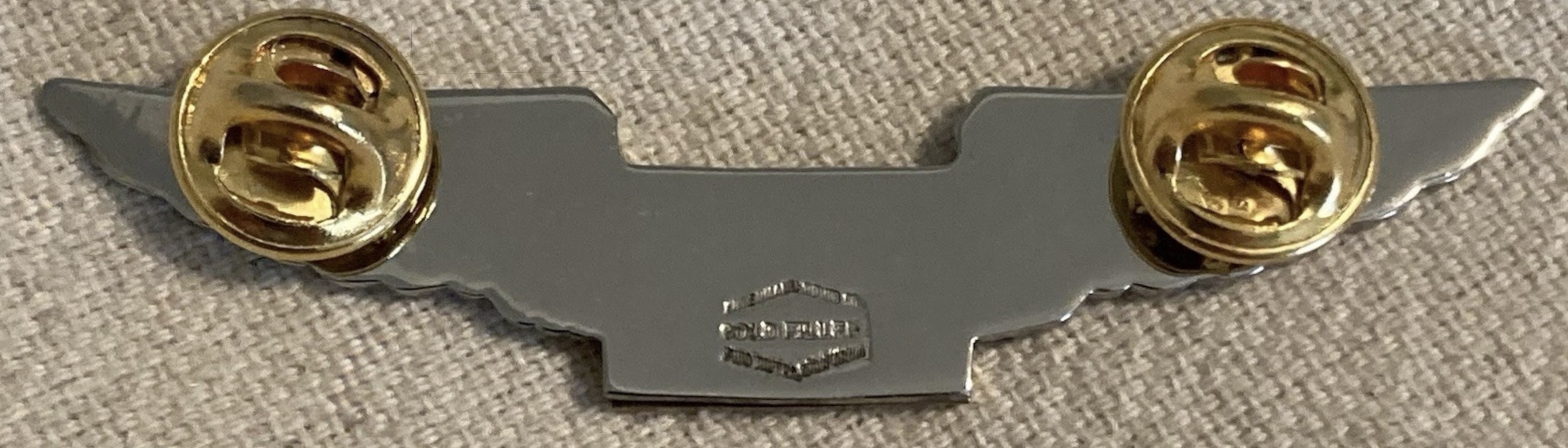 Image of Techniques d’Avant Garde Aviation (TAG) Pilot wing
