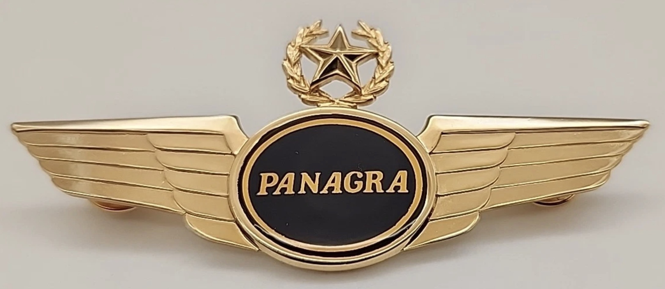 Panagra Airlines Captain