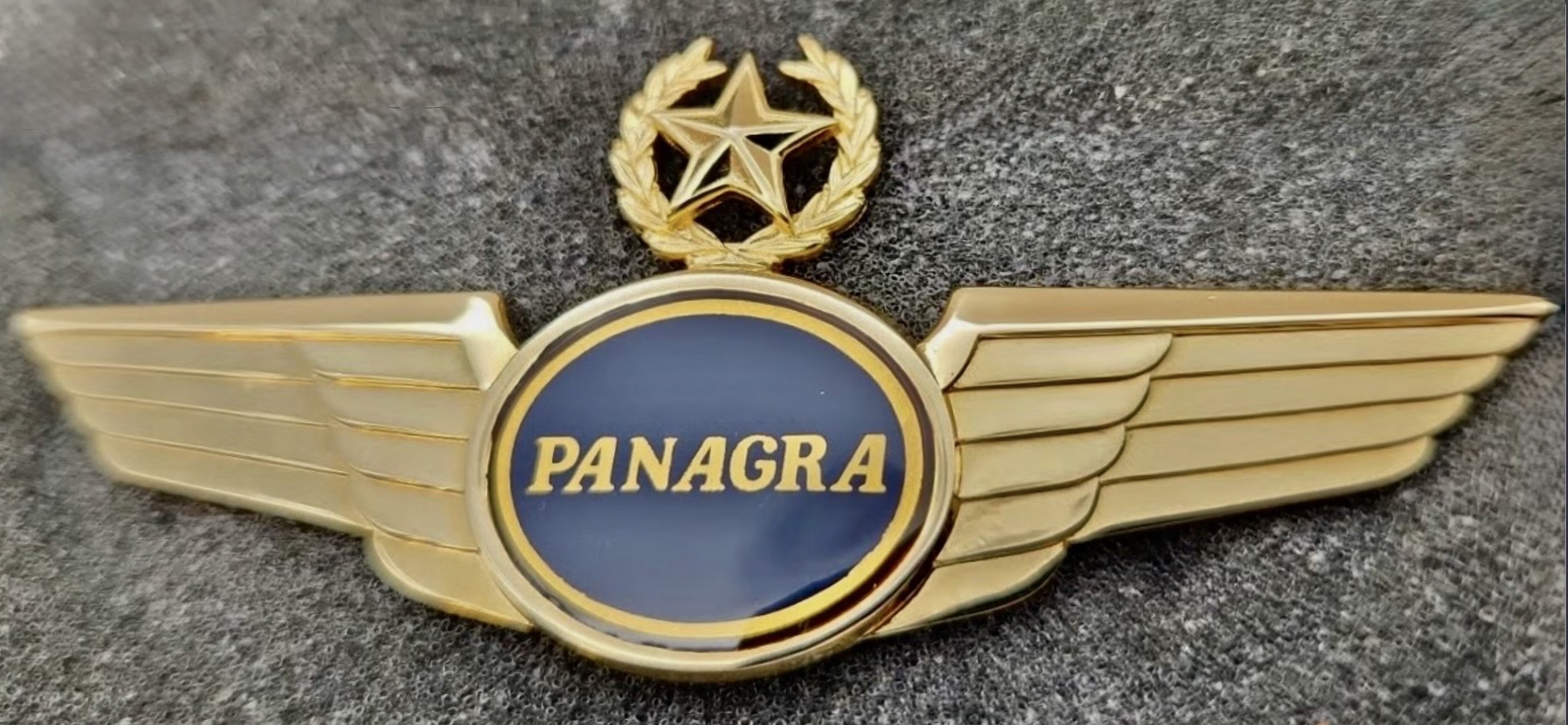 Image of Panagra Airlines Captain wing