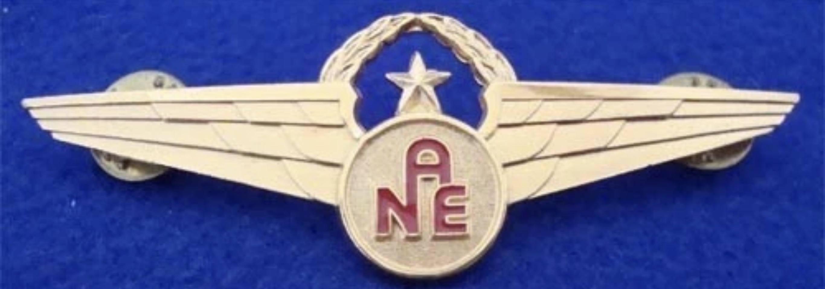 Air New England (ANE) Check Captain