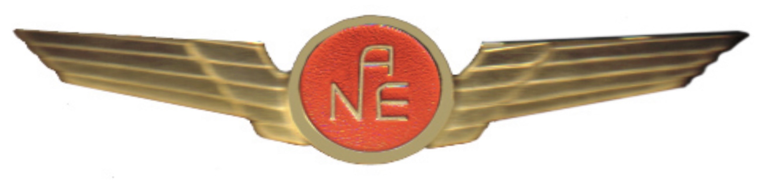 Air New England (ANE) Pilot