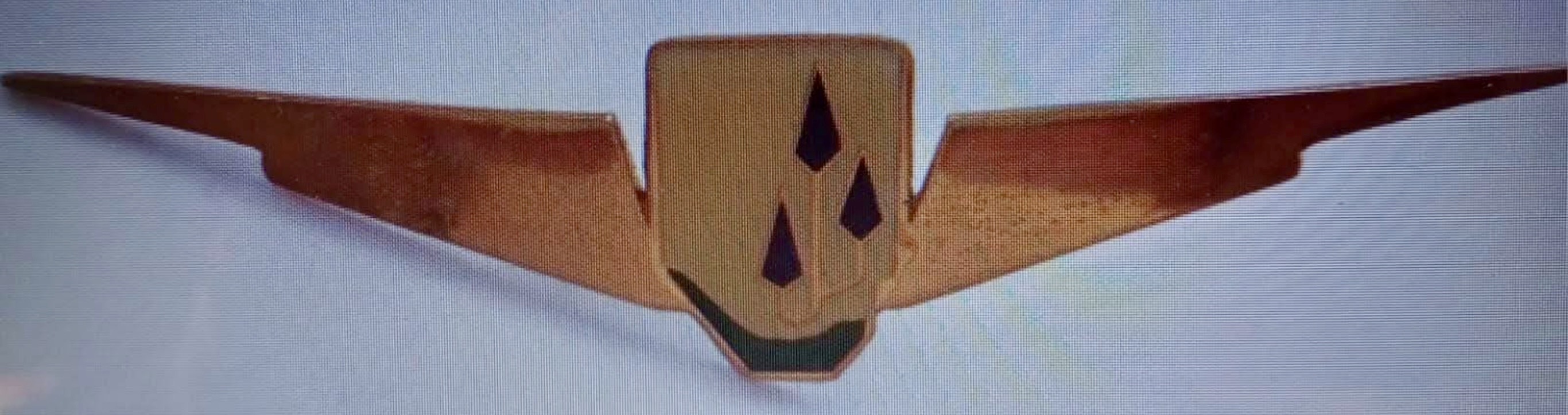 Transkei Airways Corporation (TAC) Pilot