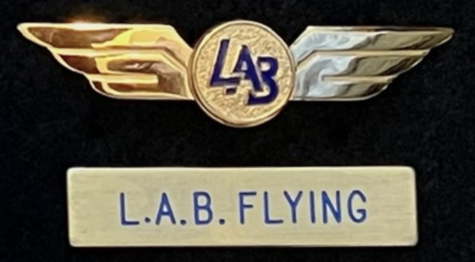 L.A.B. Flying Service Pilot