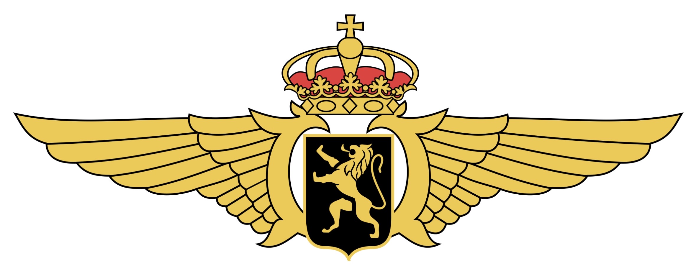 Belgium Air Force Pilot