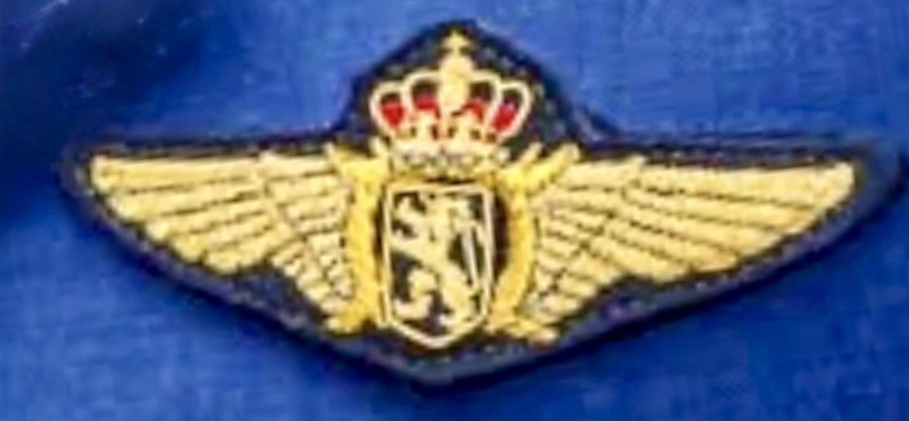 Image of Air Force Pilot wing