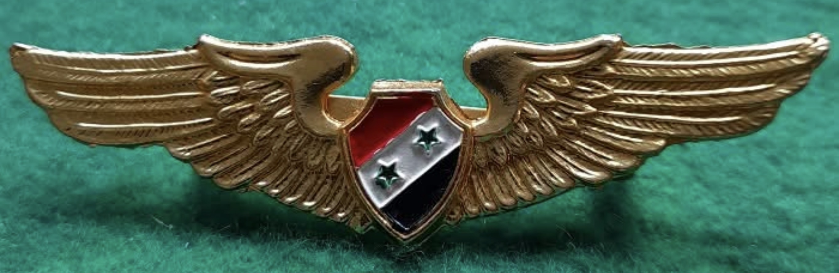 Egypt Air Force Pilot