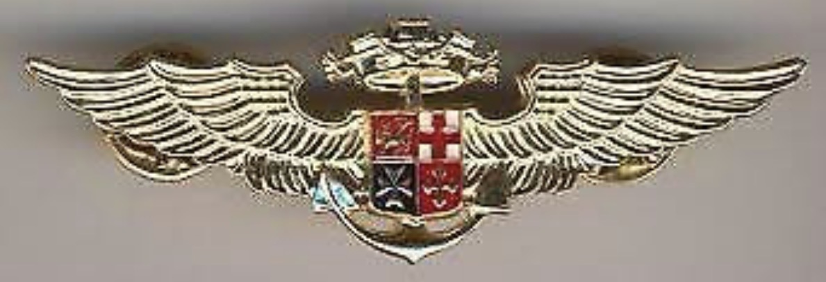 Image of Navy Pilot wing