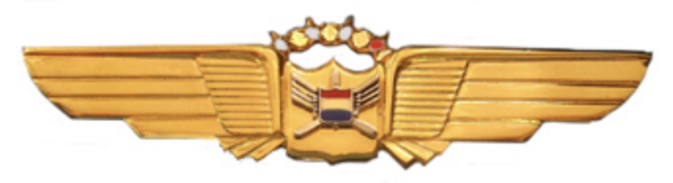 United Air Lines Pilot - 3 Diamonds 1 Ruby (30-34 years of service)
