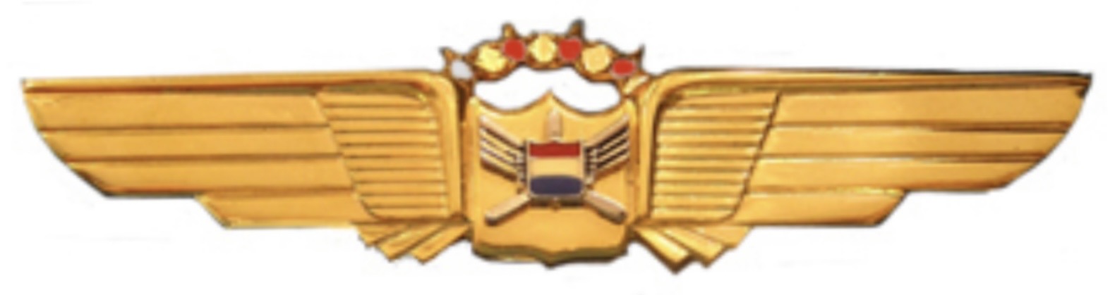 United Air Lines Pilot - 1 Diamond 3 Rubies (40 - 44 years of service)