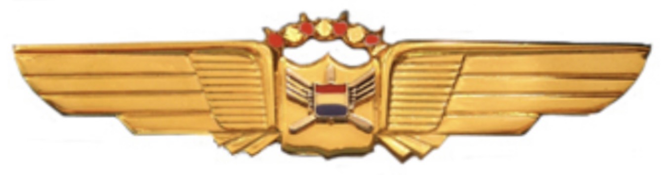 United Air Lines Pilot - 4 Rubies (45 - 49 years of service)