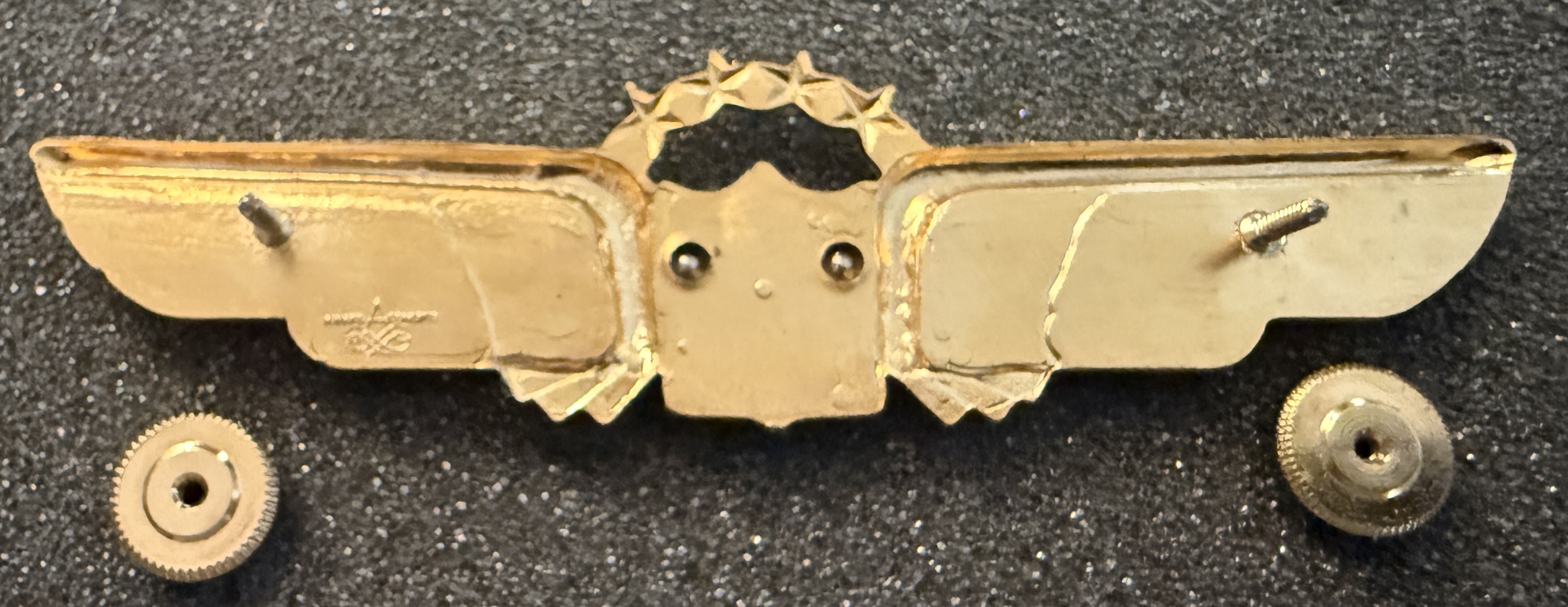Image of United Airlines Pilot wing
