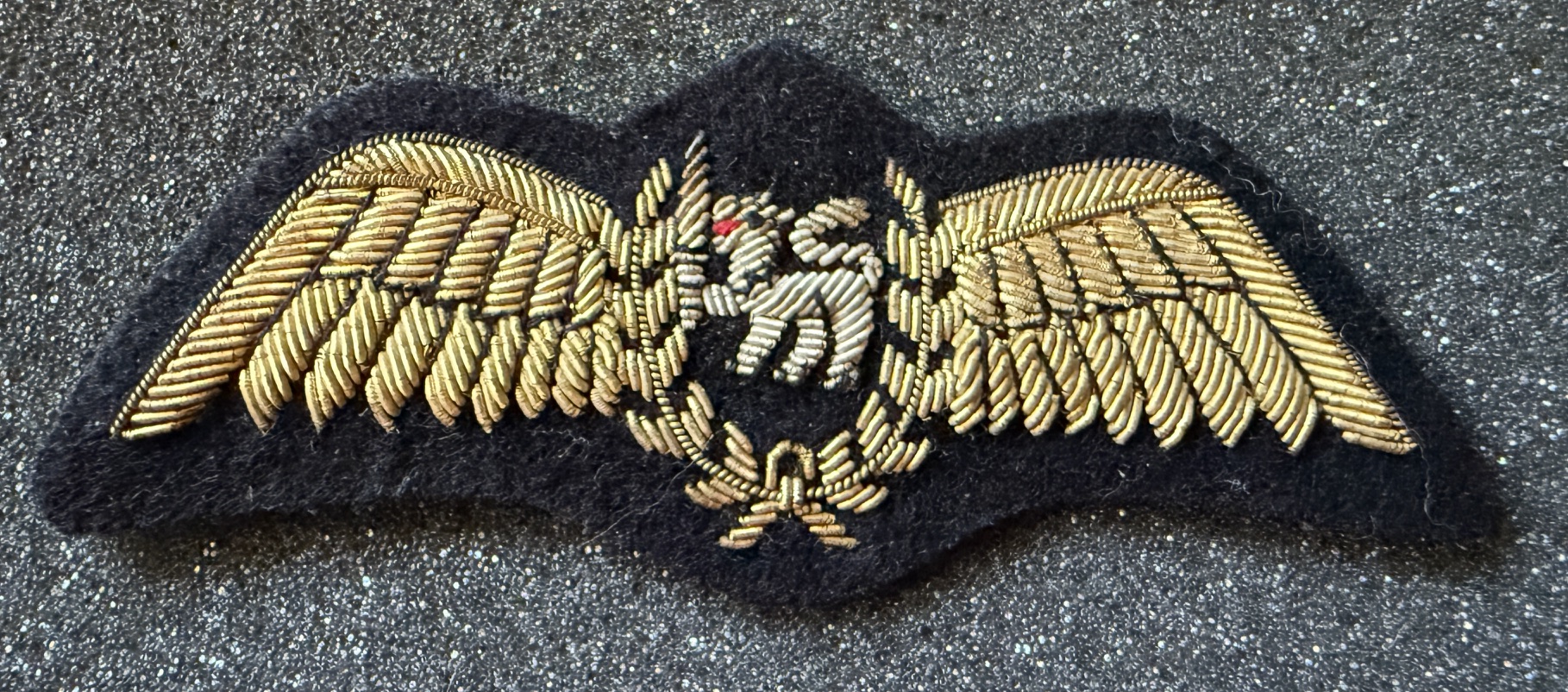 Sri Lanka Air Force Pilot