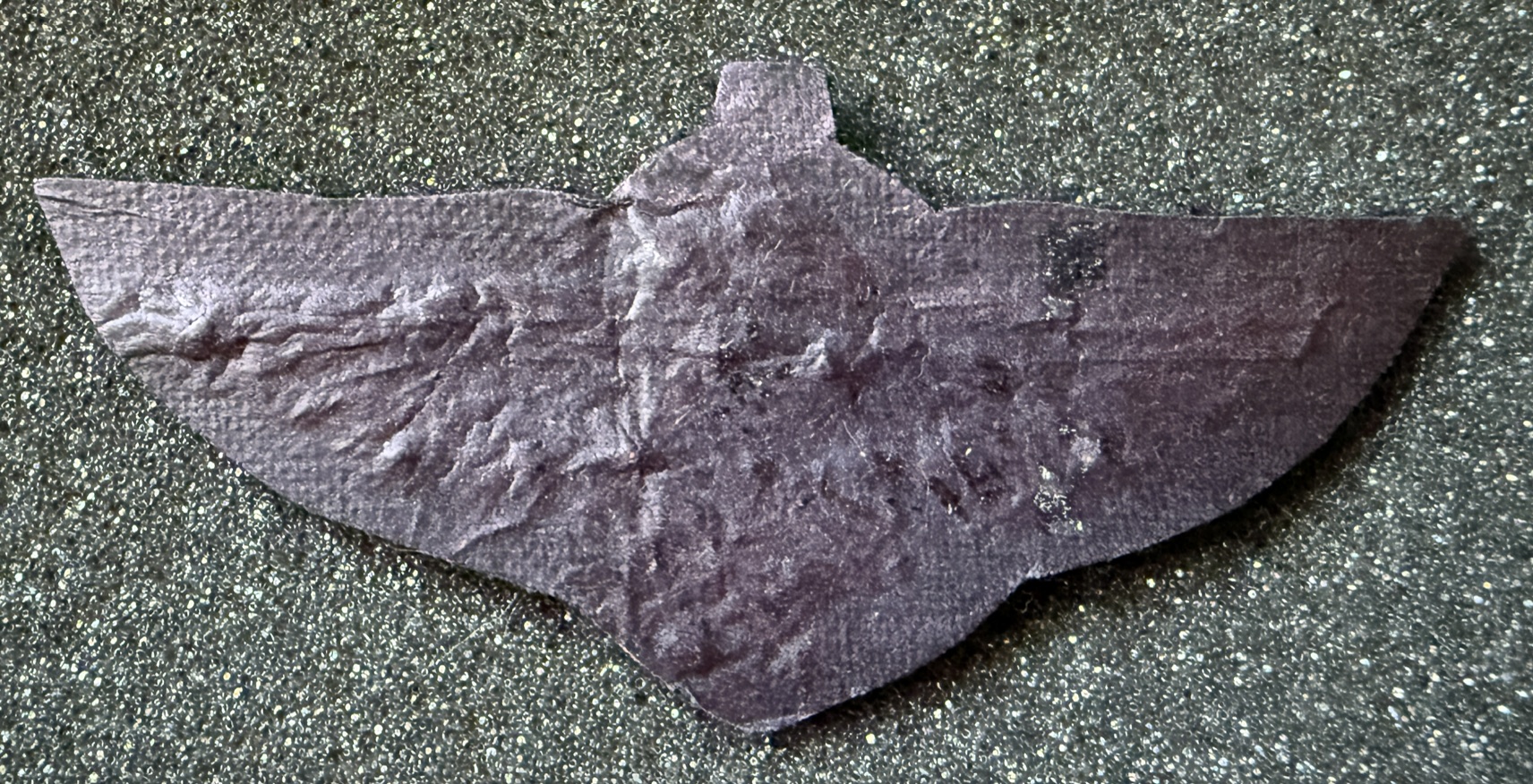 Image of Navy Pilot wing