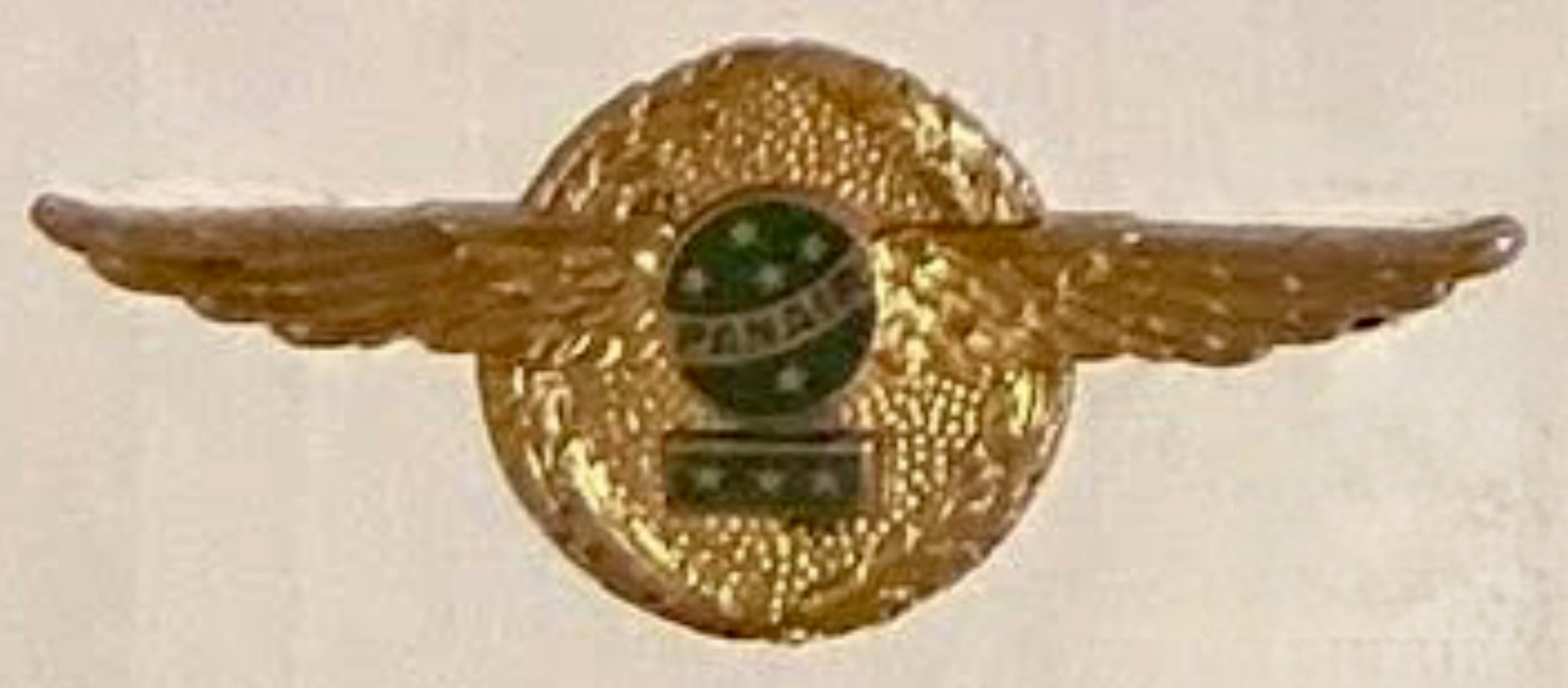 Panair do Brasil Pilot (3 Stars)