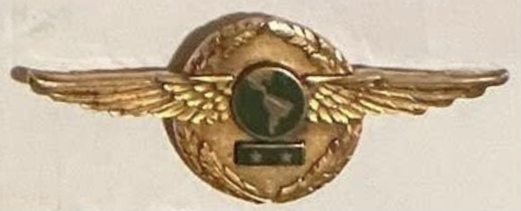 Panagra - Pan American Grace Airways Pilot (2 Stars)