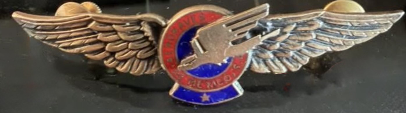 Aeronaves de Mexico Pilot