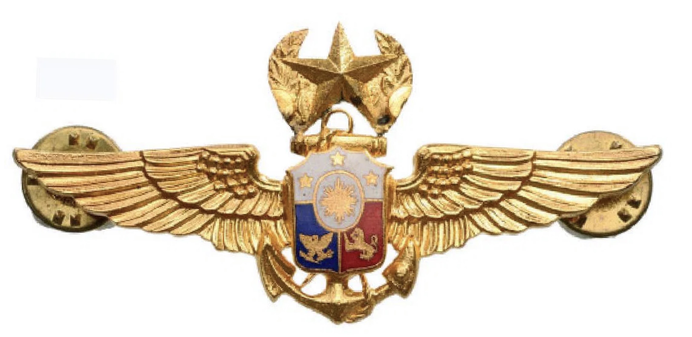 Philippines Navy Master Pilot