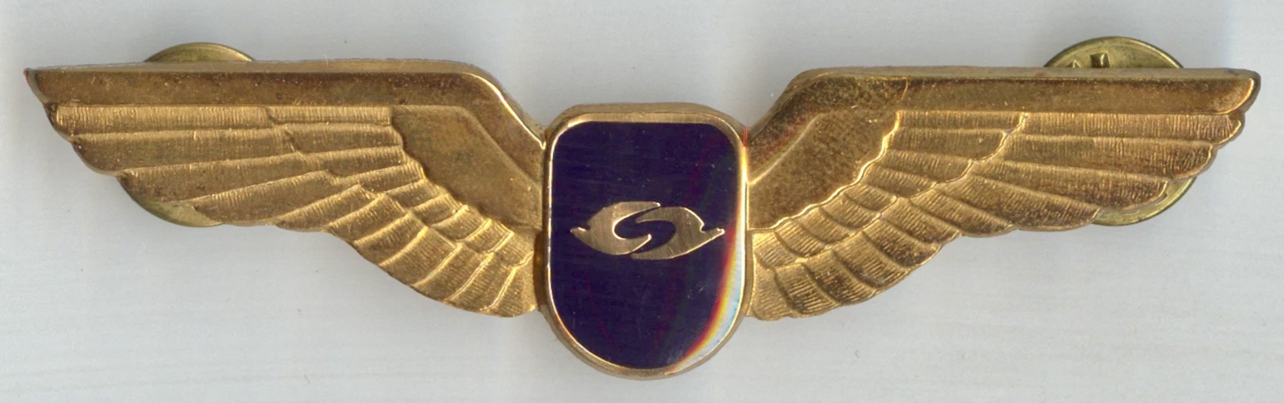 Safair Pilot