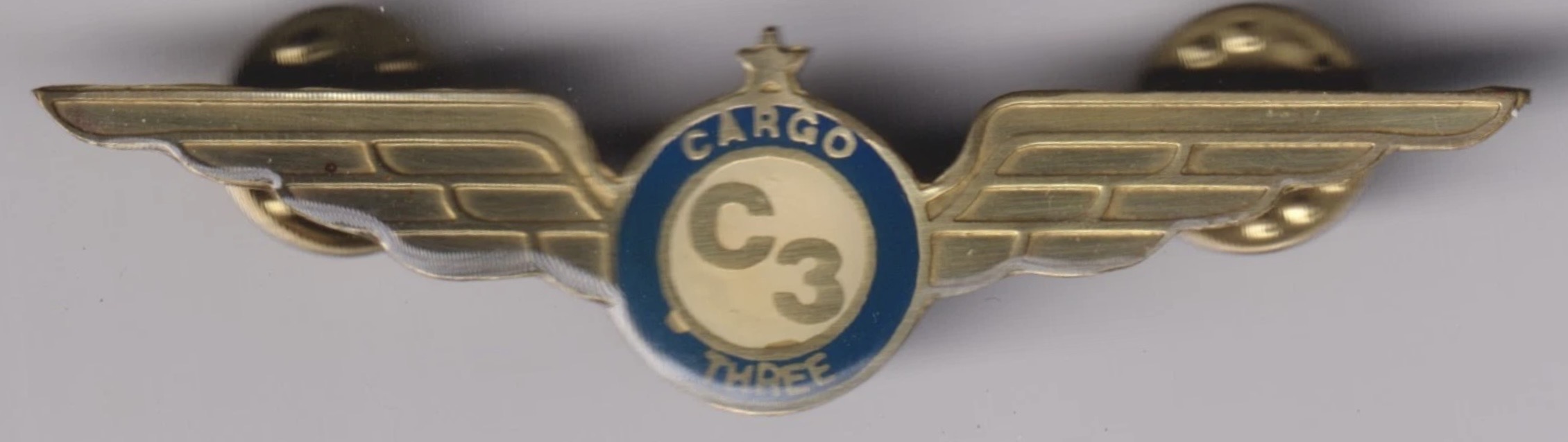 Cargo 3 Airlines Pilot