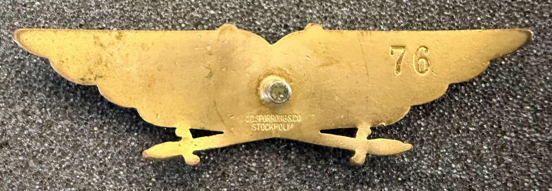 Image of Air Force Pilot wing
