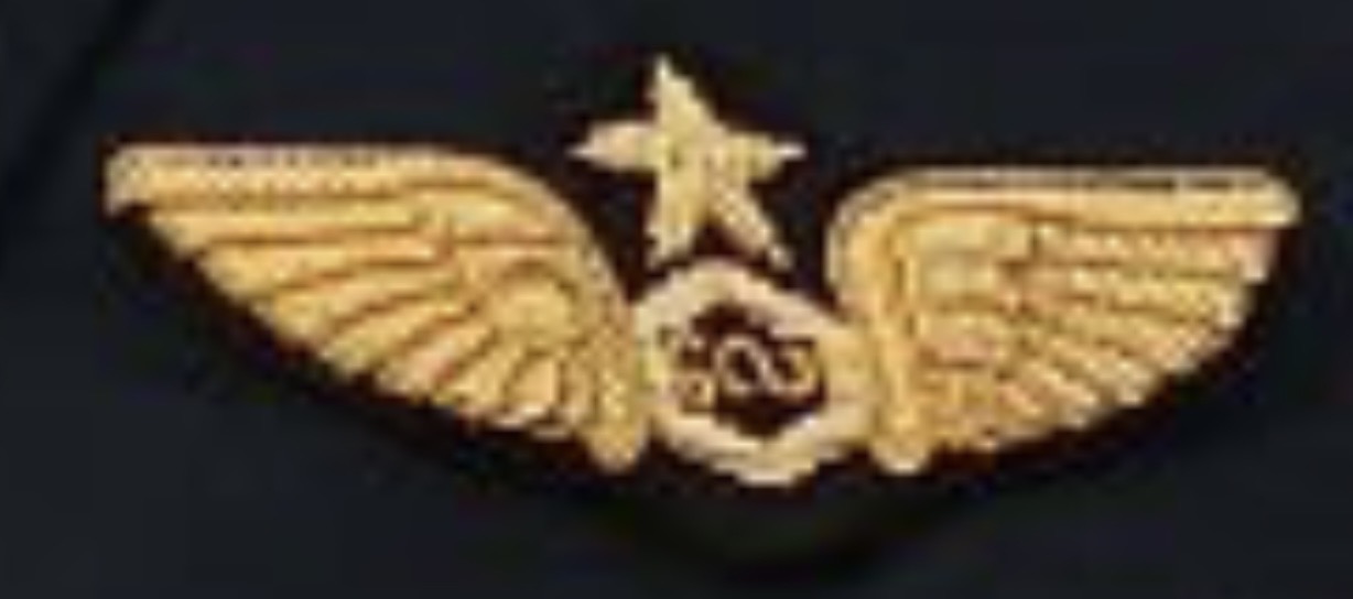 Myanmar (Burma) Air Force Pilot