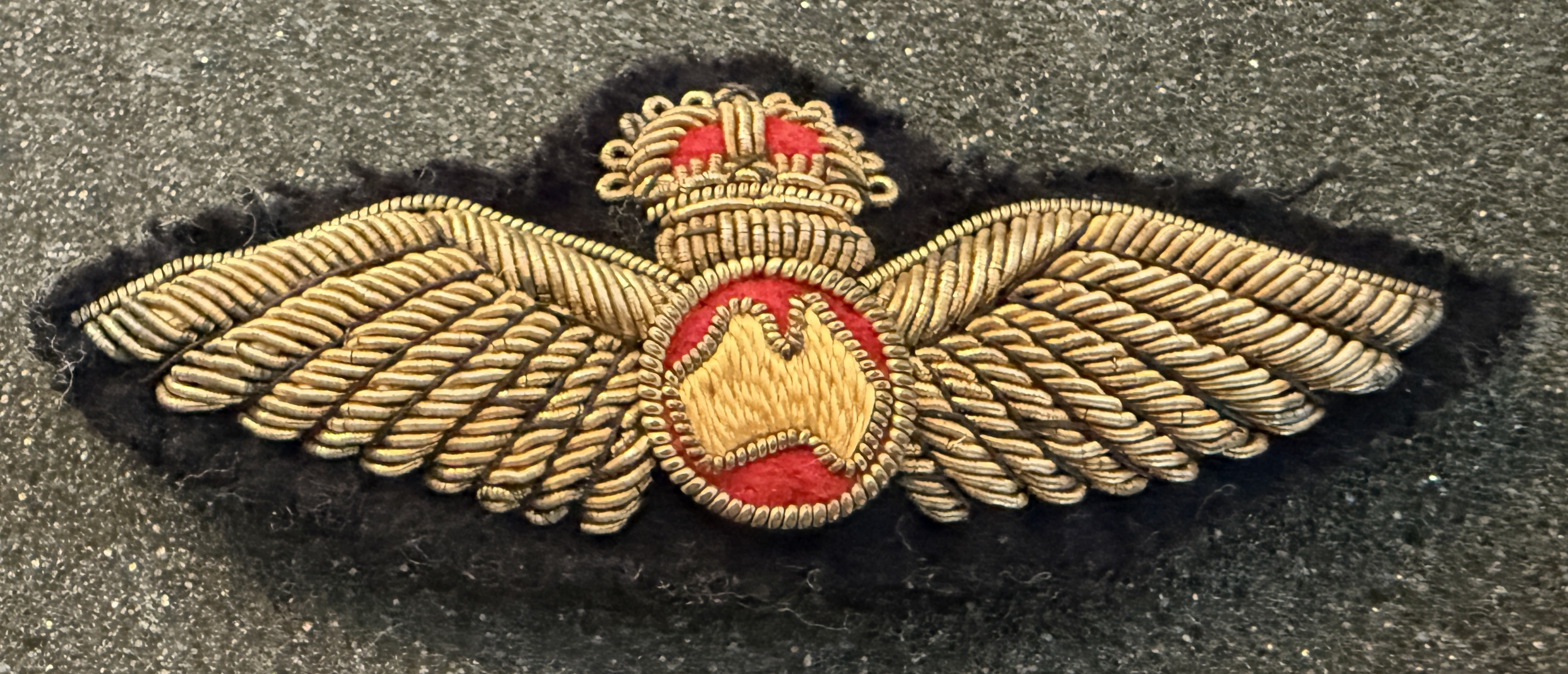 Ansett ANA Pilot