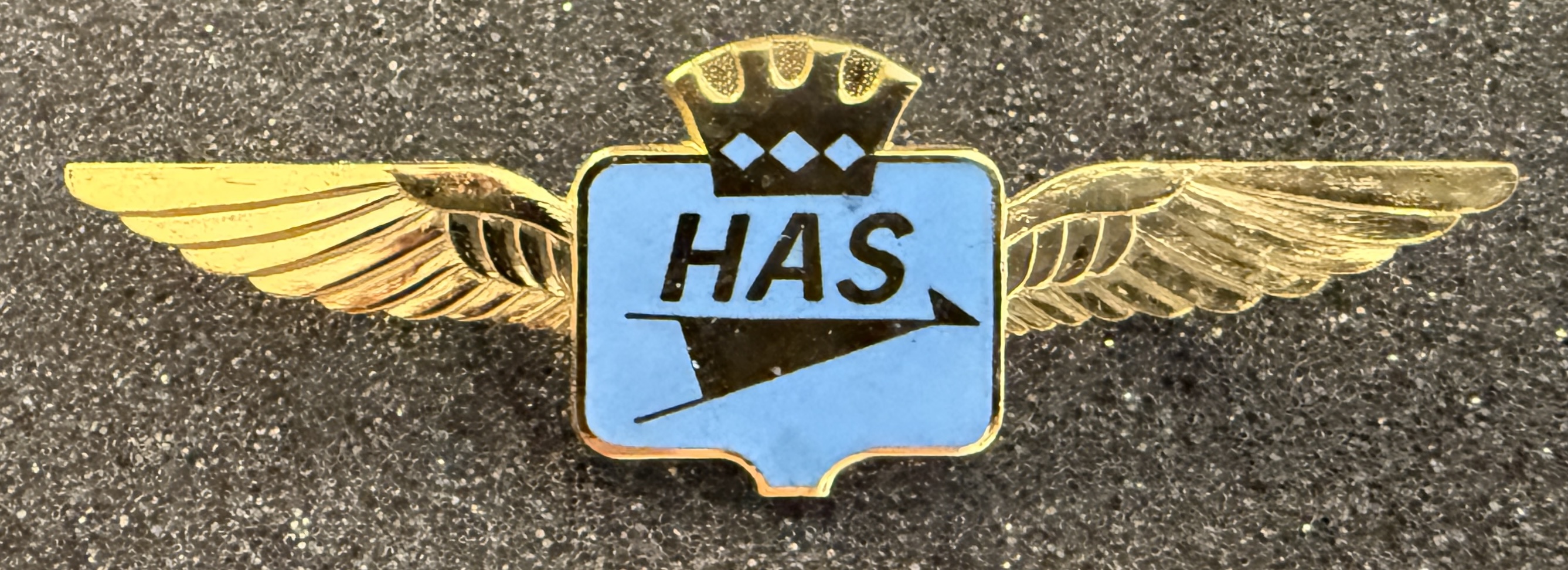 Hazelton Air Services (HAS) Pilot