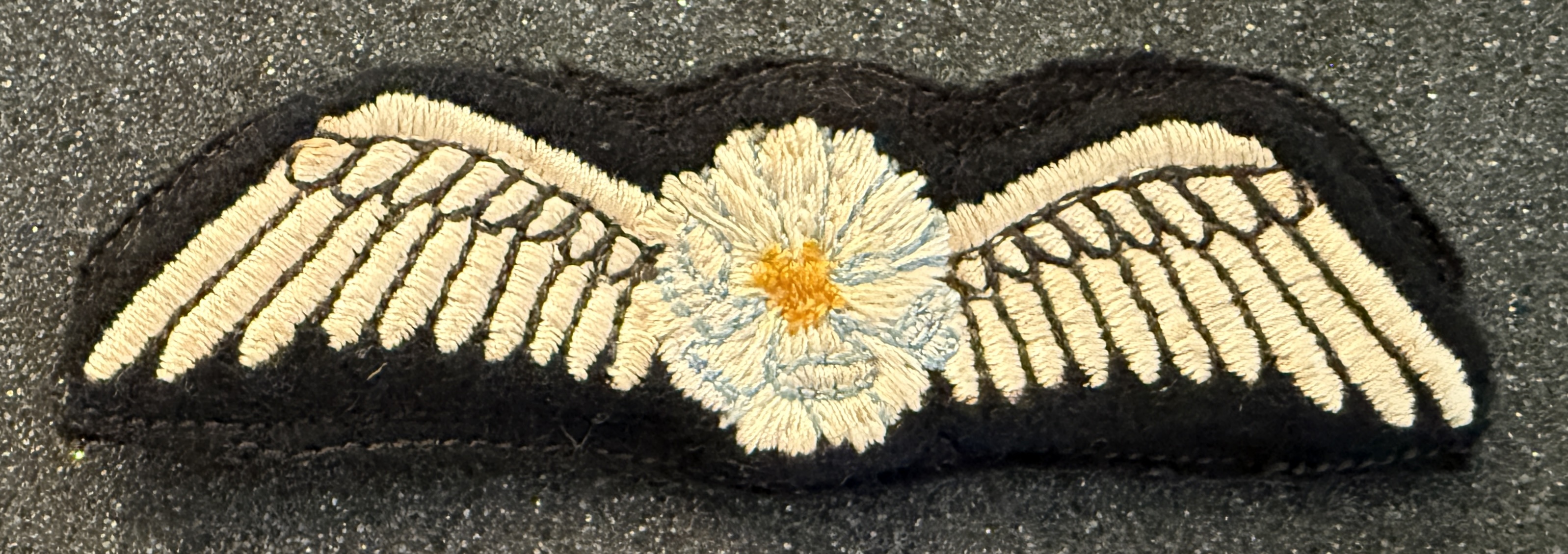 Mount Cook Airlines Pilot