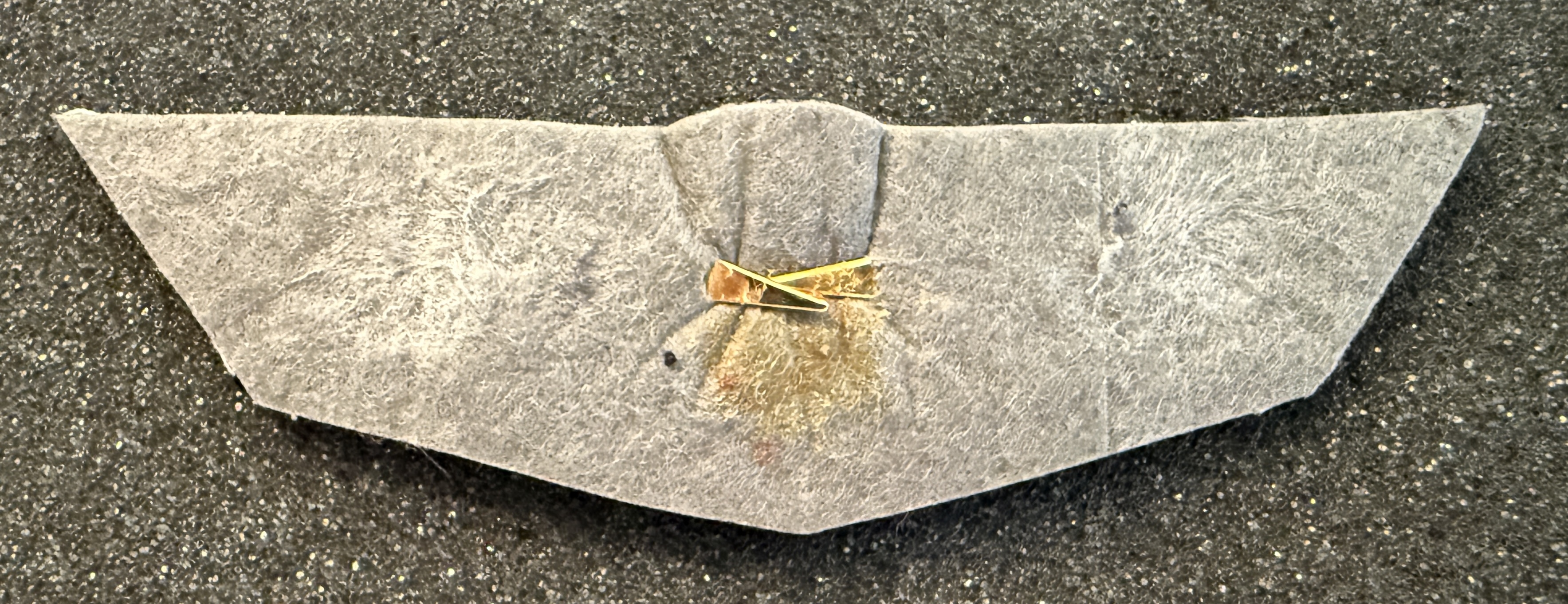 Image of Mount Cook Airlines Pilot wing