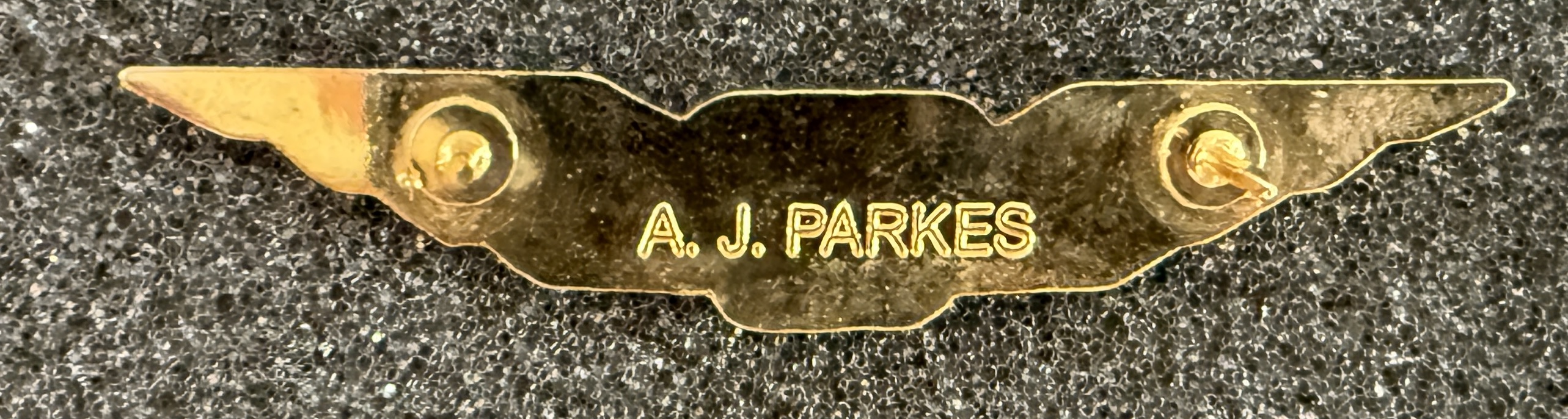 Image of Forrestair Pilot wing