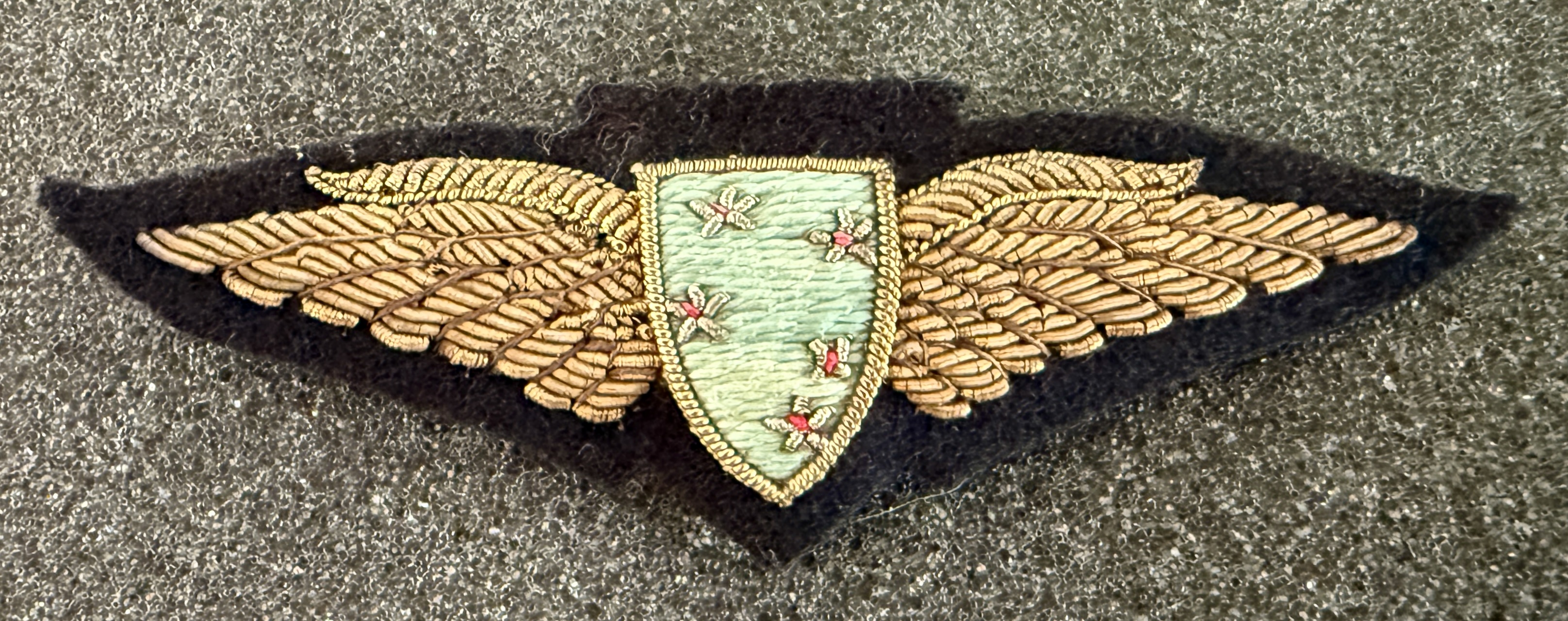 Tasman Empire Airways Ltd (TEAL) Pilot