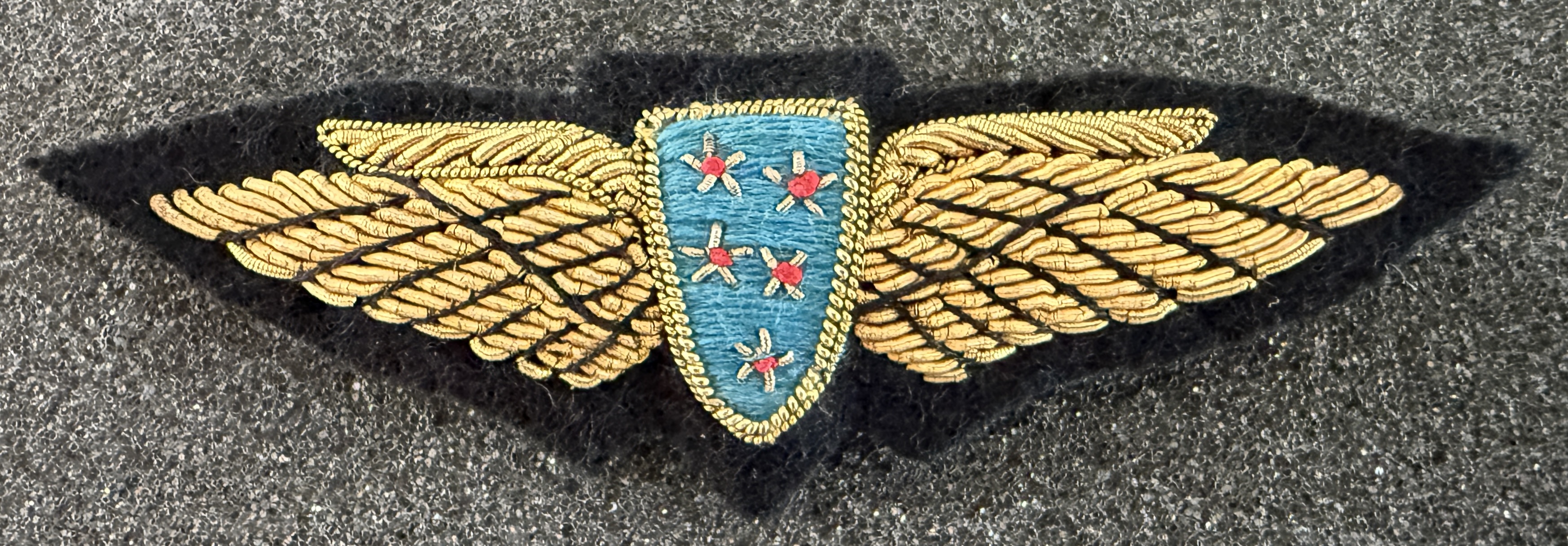 Tasman Empire Airways Ltd (TEAL) Pilot