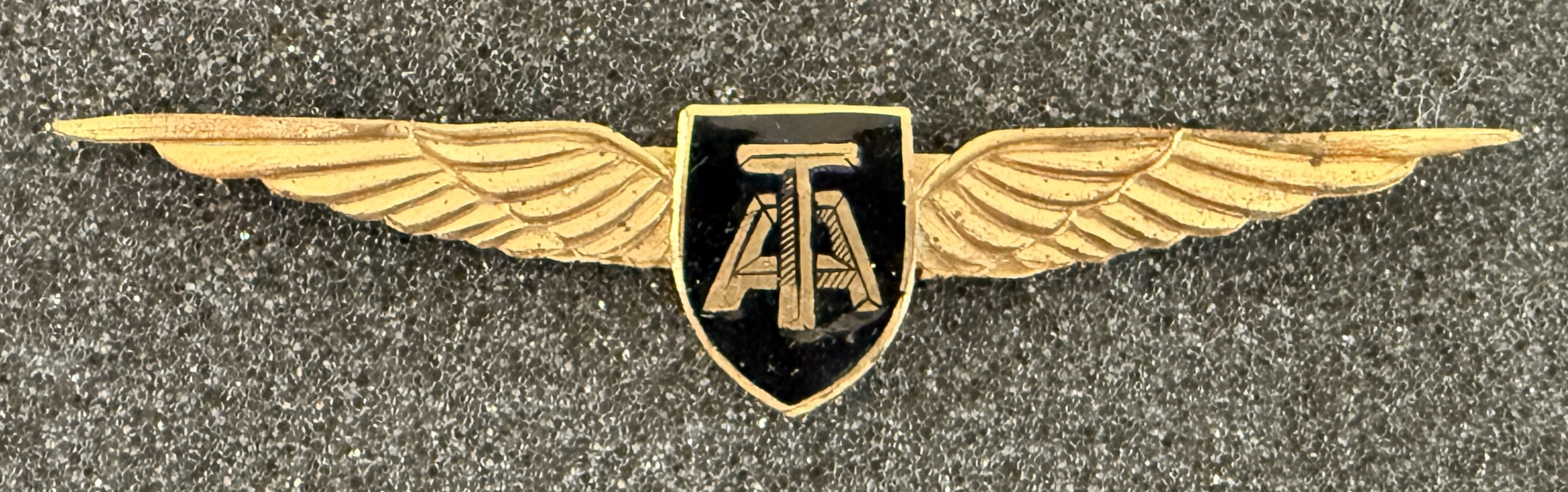 Tasman Empire Airways Ltd (TEAL) Pilot