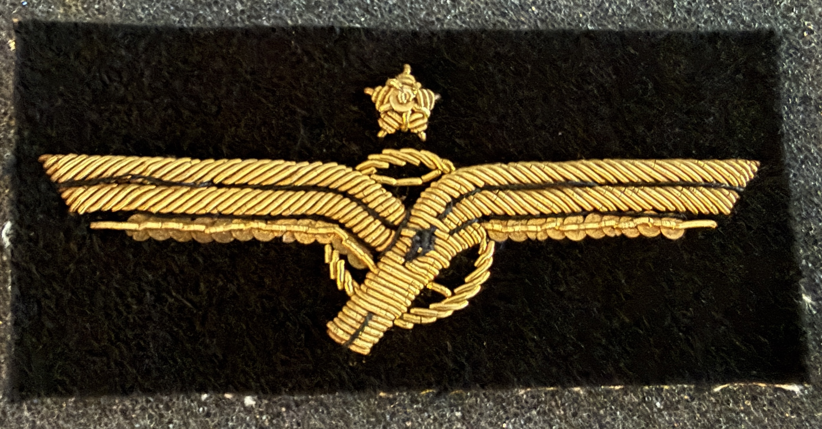 Air Afrique Captain